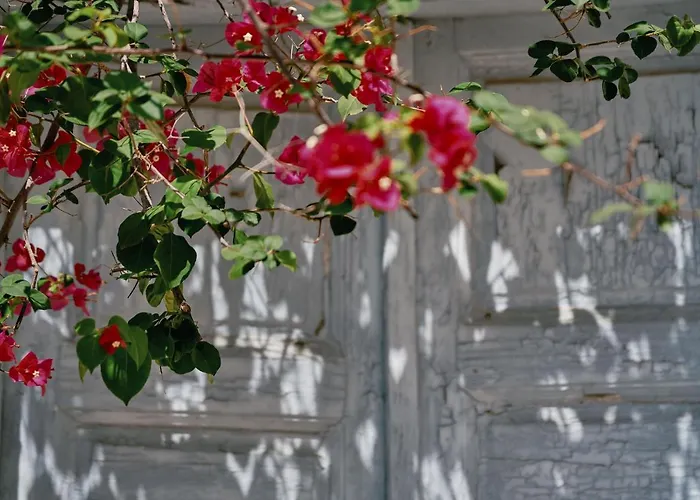 Origami Boutique Residences 4* Nafplio